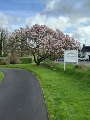 The Spinney Barnstaple Ngoại thất bức ảnh