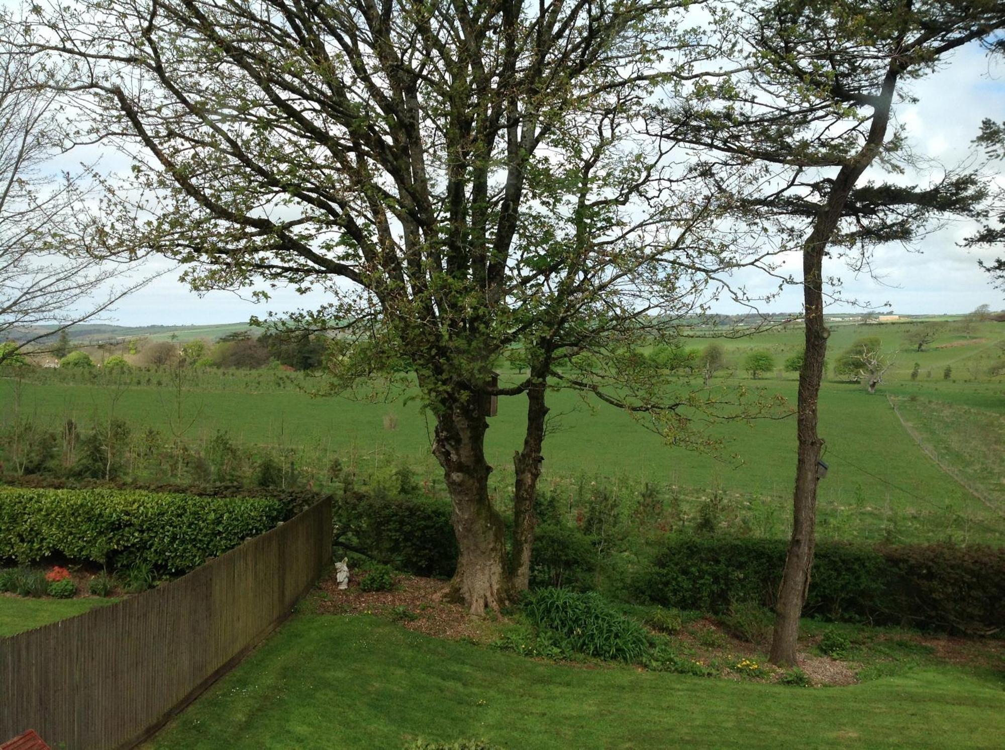 The Spinney Barnstaple Phòng bức ảnh
