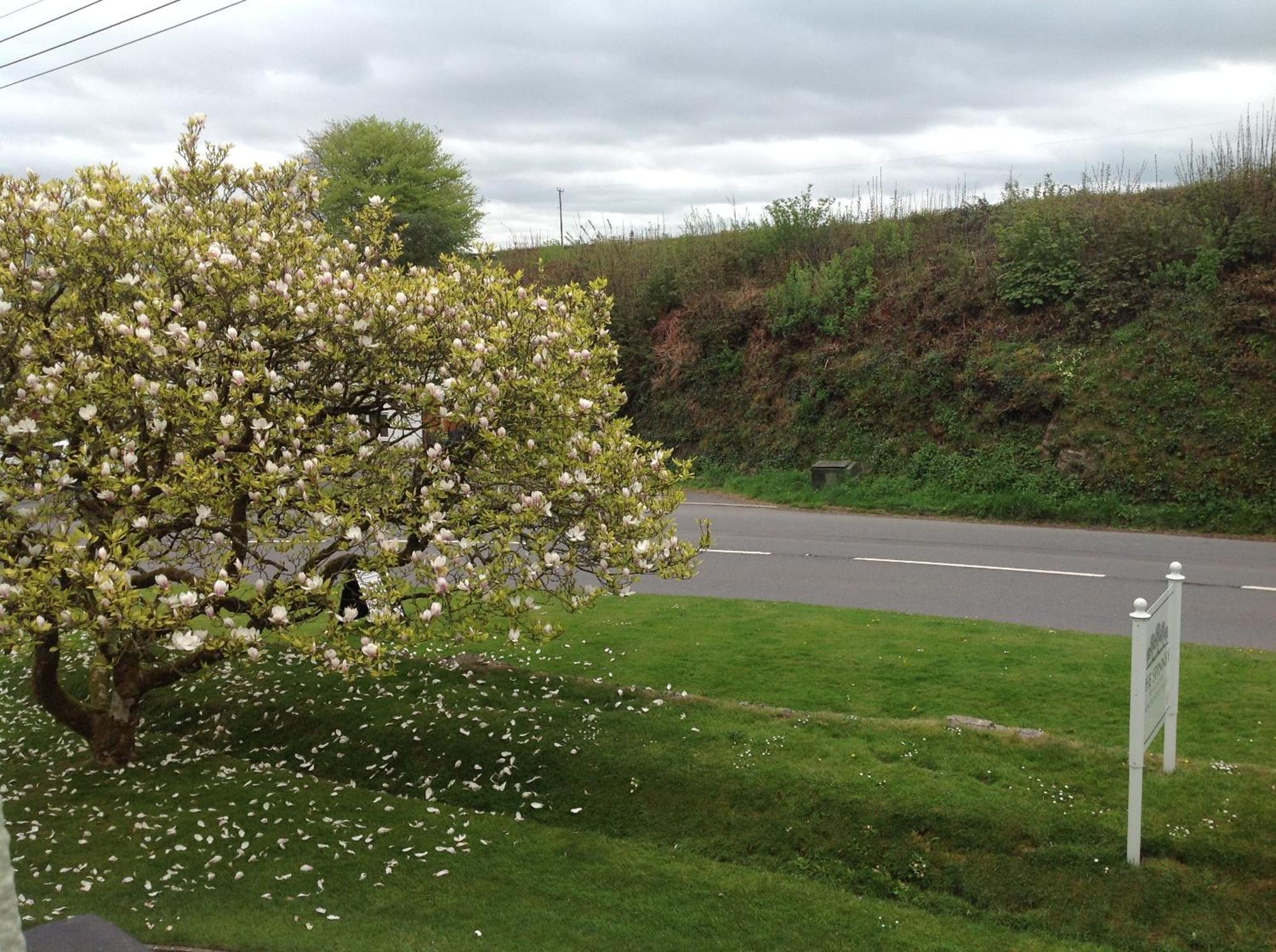 The Spinney Barnstaple Phòng bức ảnh